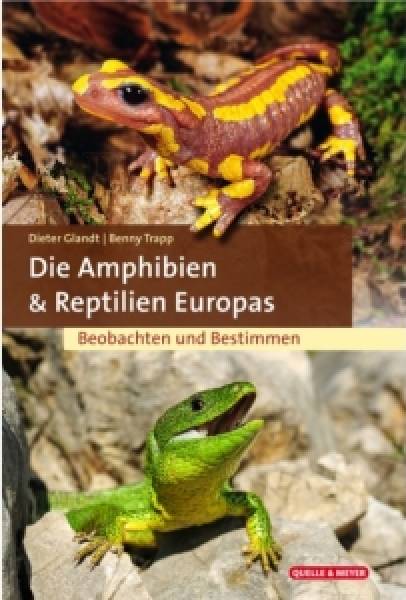 Die Amphibien & Reptilien Europas - Beobachten und Bestimmen